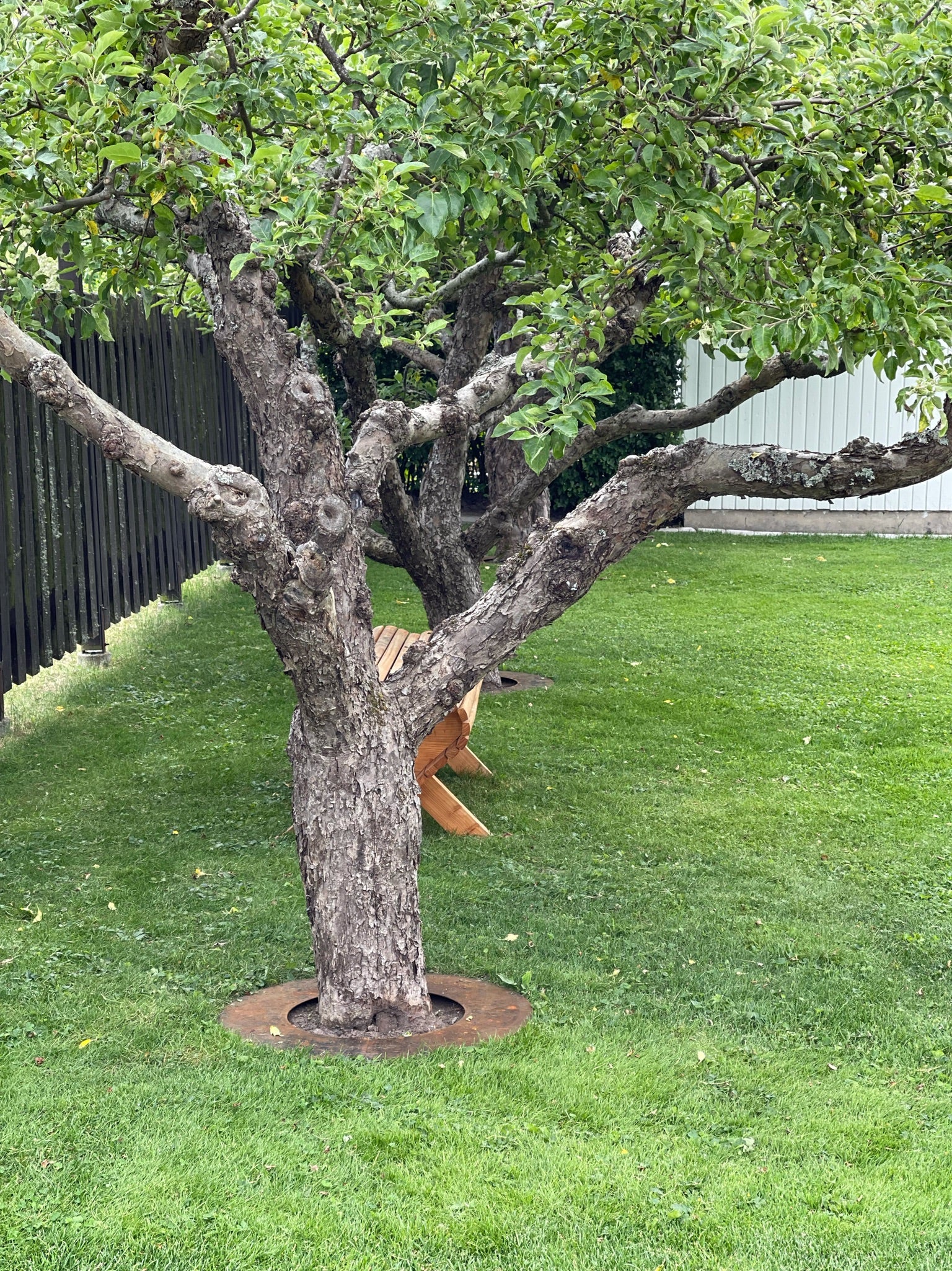 Liggande Trädring För Robbotgräsklippare