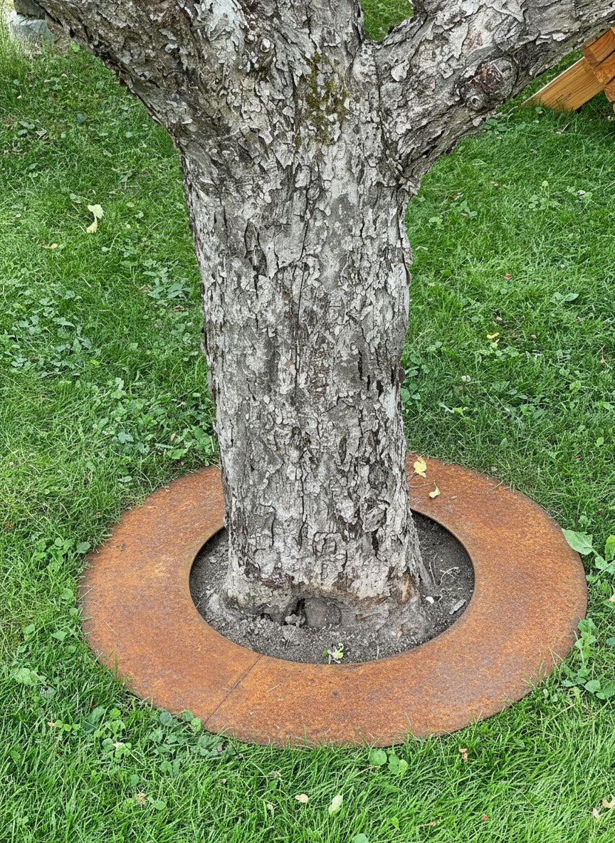 Liggande Trädring För Robbotgräsklippare