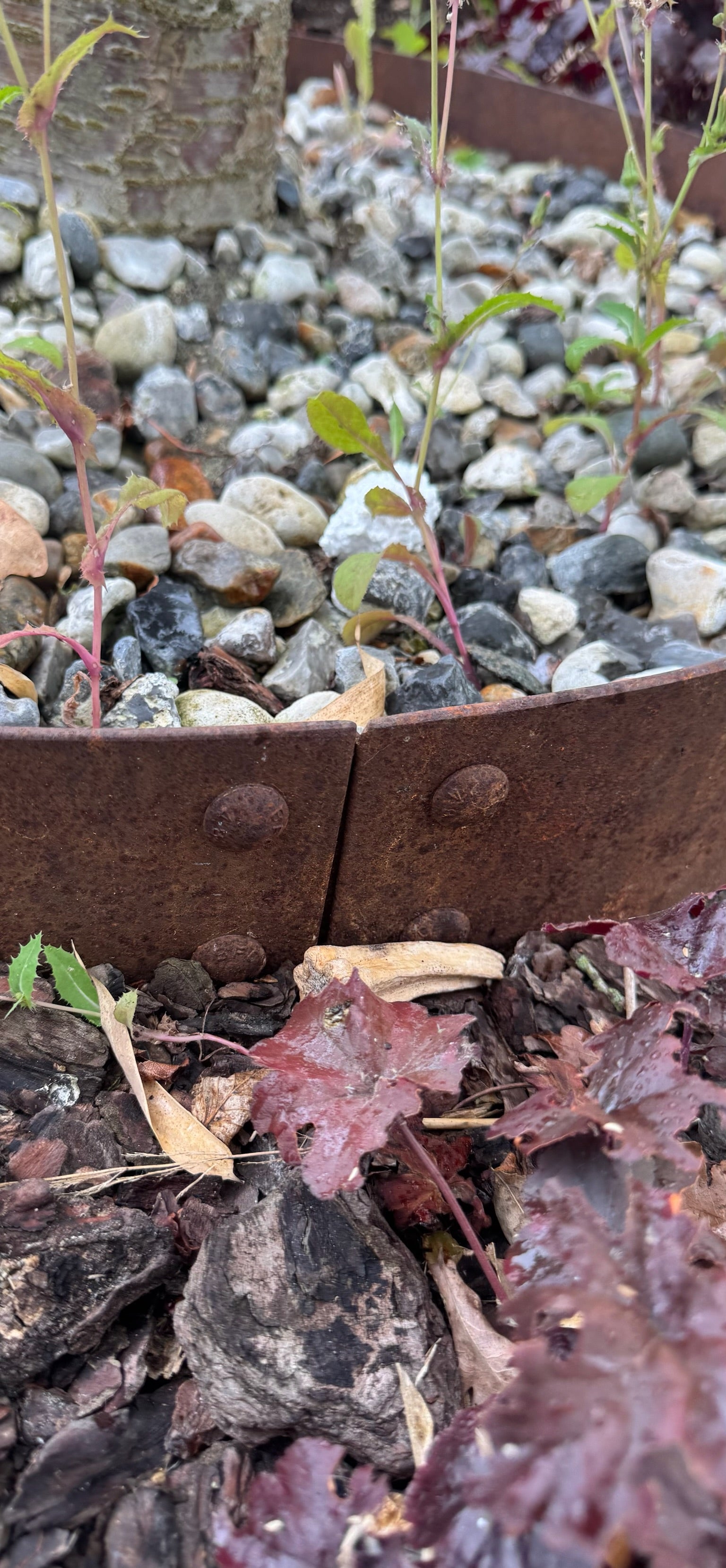 Planteringsring i cortenstål