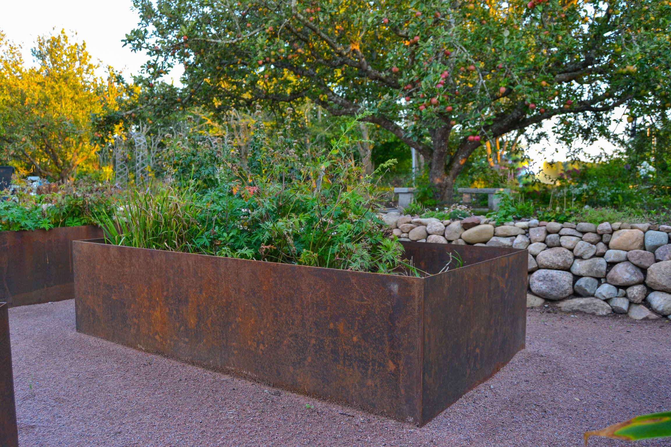 Pallkrage / Odlingsram / Drivbänk i Cortenstål