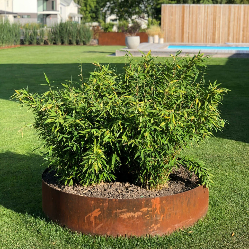 Planteringsring/Planteringsring