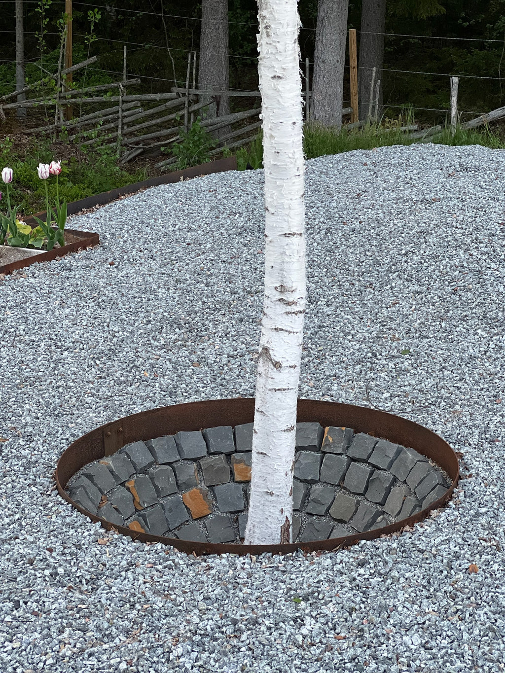 Planteringsring/Planteringsring